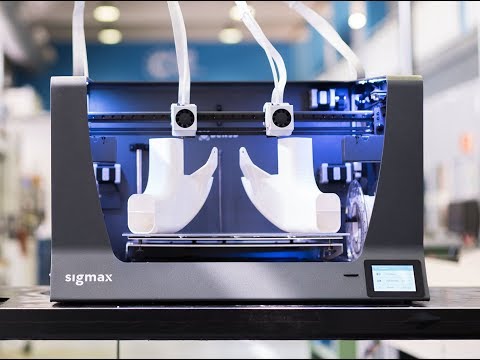 Sigmax Bambi